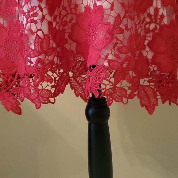 EASTER😇 Sheath Lace Red Dress w/Tan Lining - Picture 4 of 12